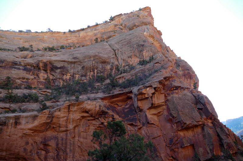 Rough Canyon Loop [Grand Junction]