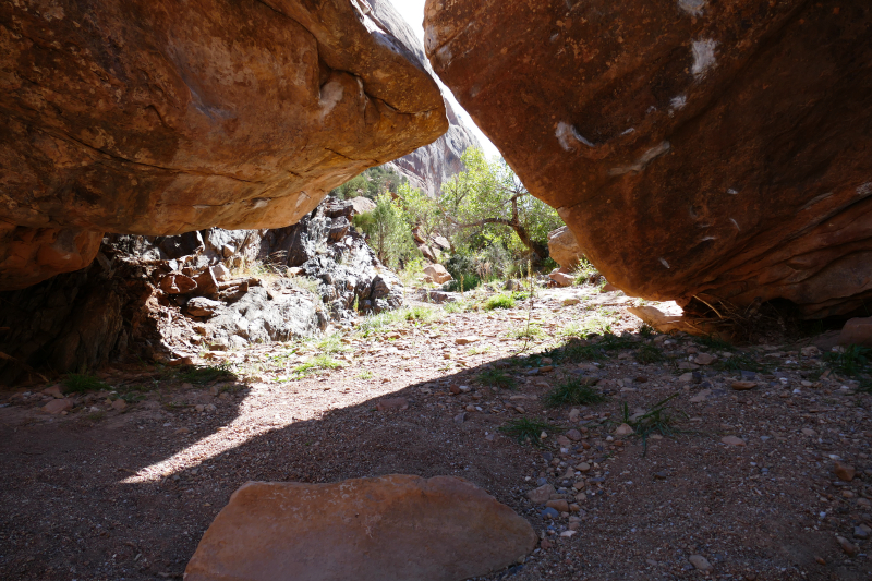 Rough Canyon Loop [Grand Junction]