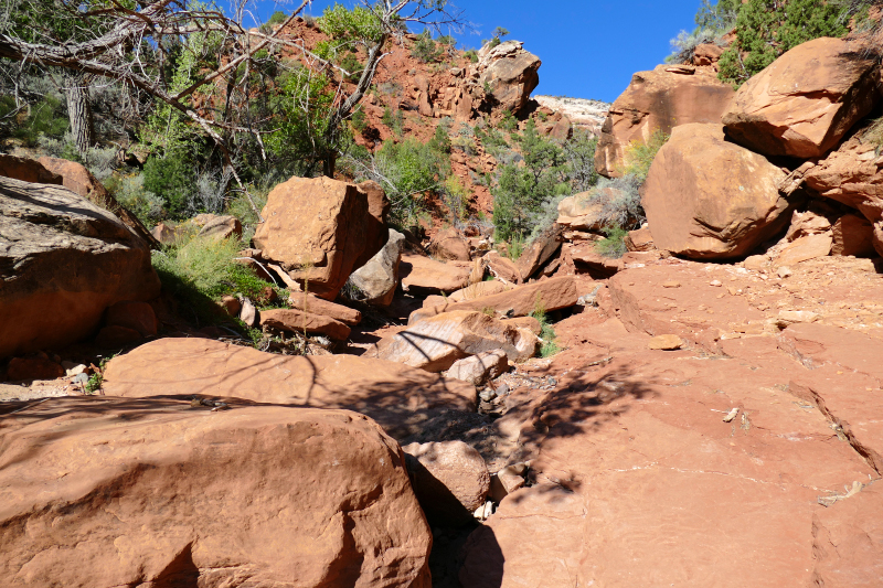 Rough Canyon Loop [Grand Junction]