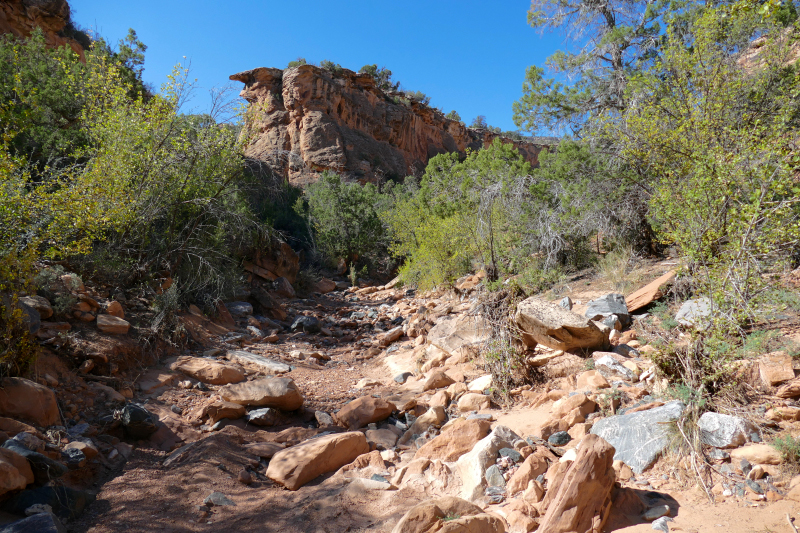 Rough Canyon Loop [Grand Junction]