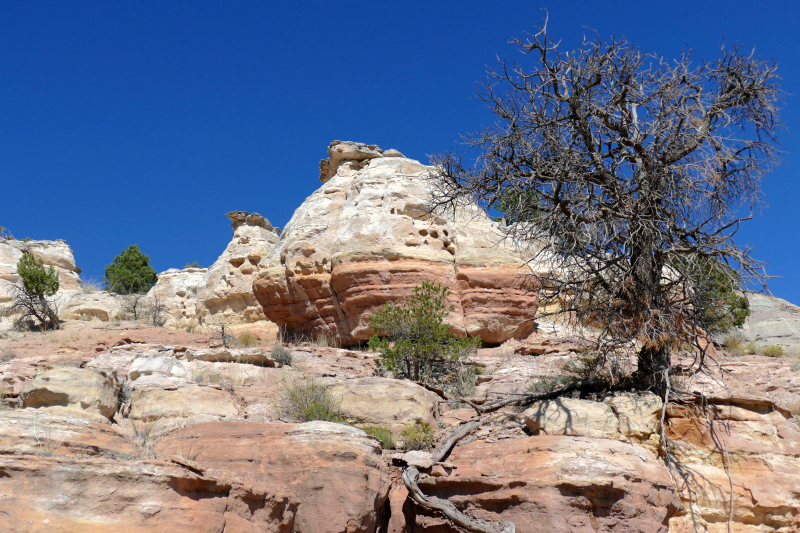 Rough Canyon Loop [Grand Junction]