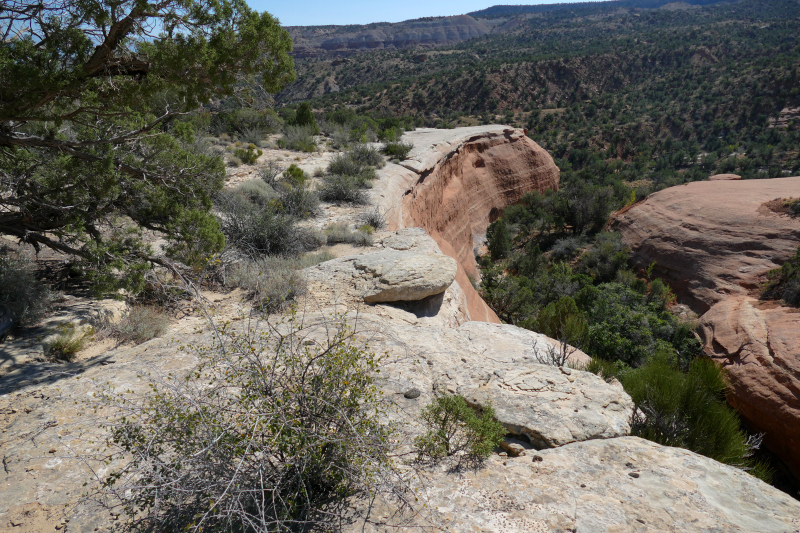 Rough Canyon Loop [Grand Junction]