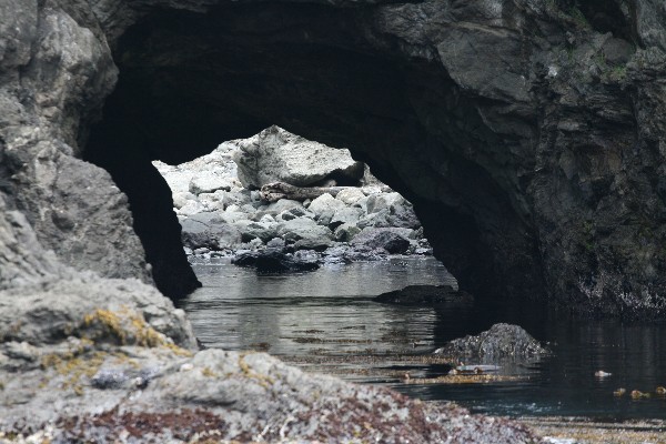 Arches at Point Cabrillo