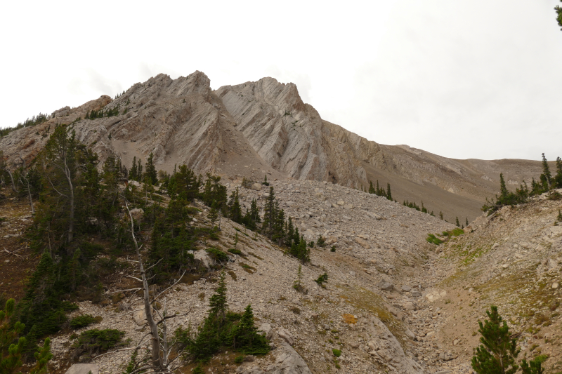 Sacagawea Peak [Bridger Range]