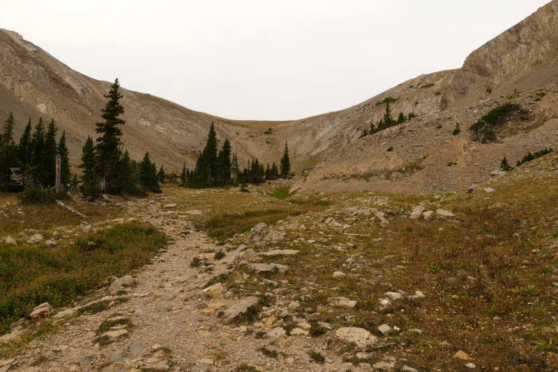 Sacagawea Peak [Bridger Range]