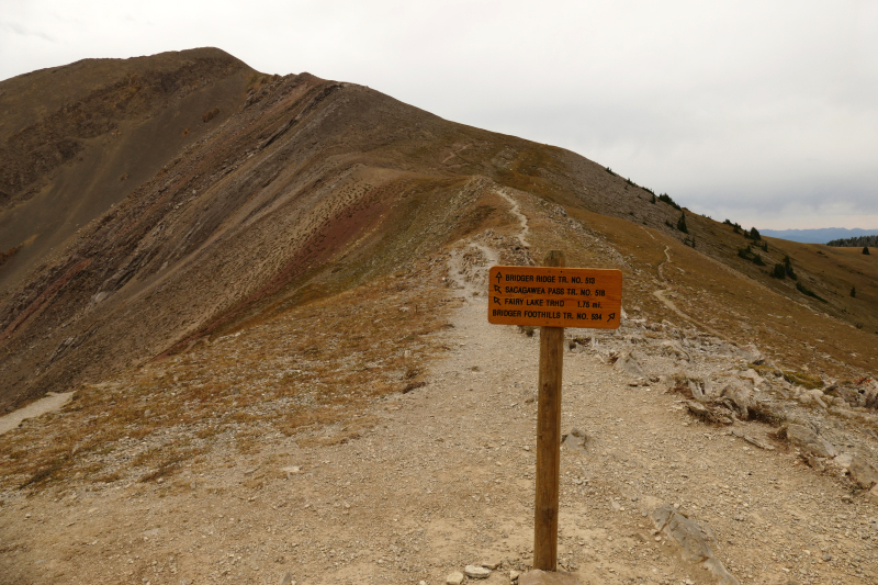 Sacagawea Peak [Bridger Range]