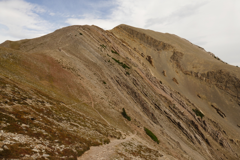 Sacagawea Peak [Bridger Range]