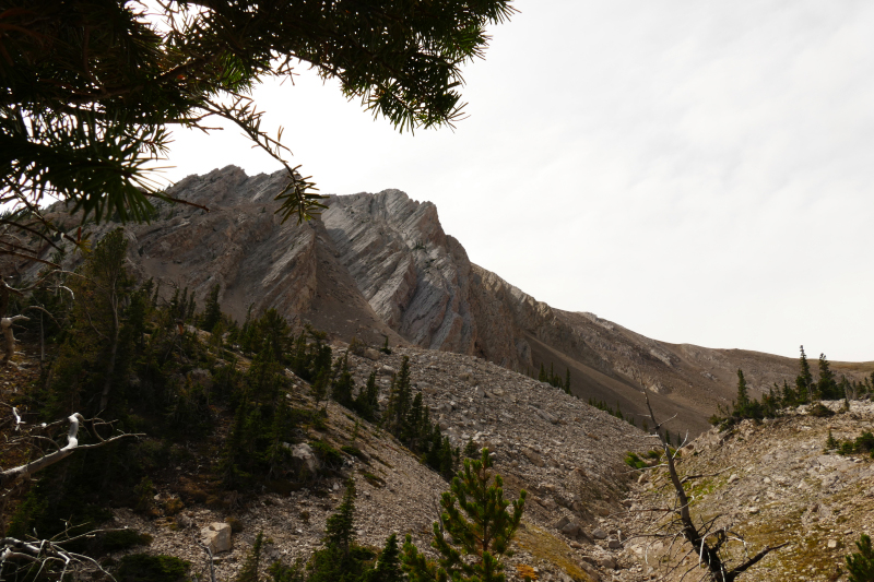 Sacagawea Peak [Bridger Range]