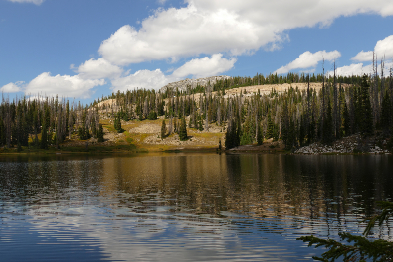 Silver Lake [Medicine Bow National Forest]