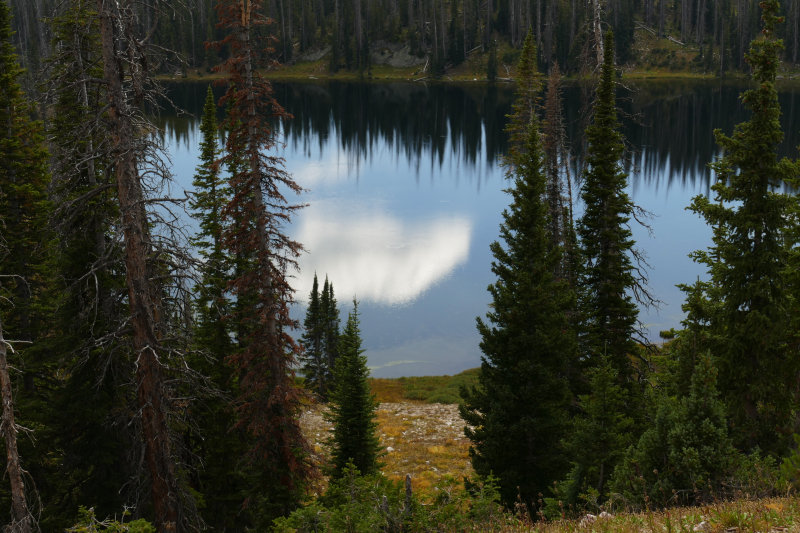 Silver Lake [Medicine Bow National Forest]