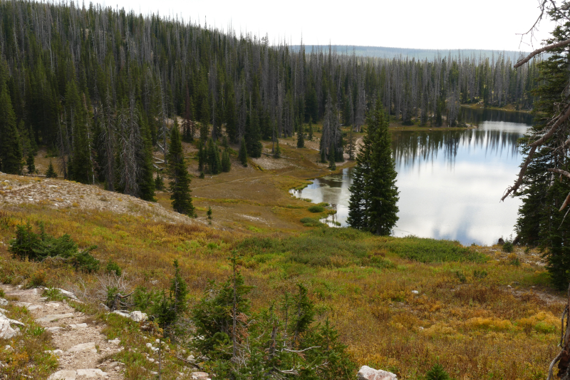 Silver Lake [Medicine Bow National Forest]