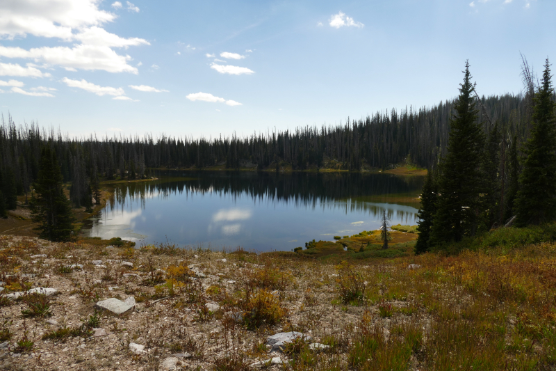 Silver Lake [Medicine Bow National Forest]