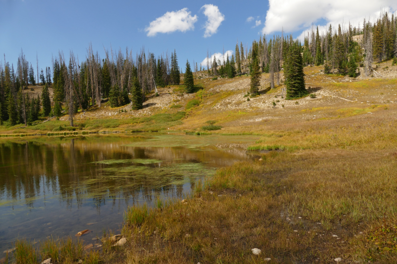 Silver Lake [Medicine Bow National Forest]