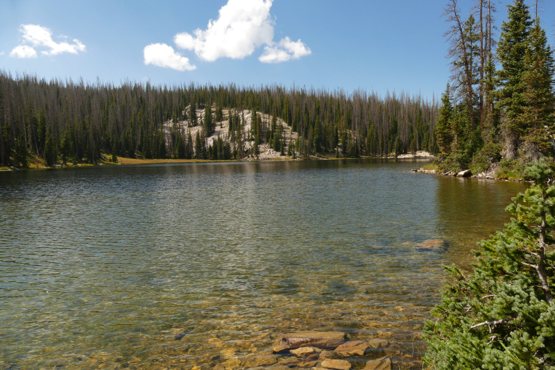 Silver Lake [Medicine Bow National Forest]