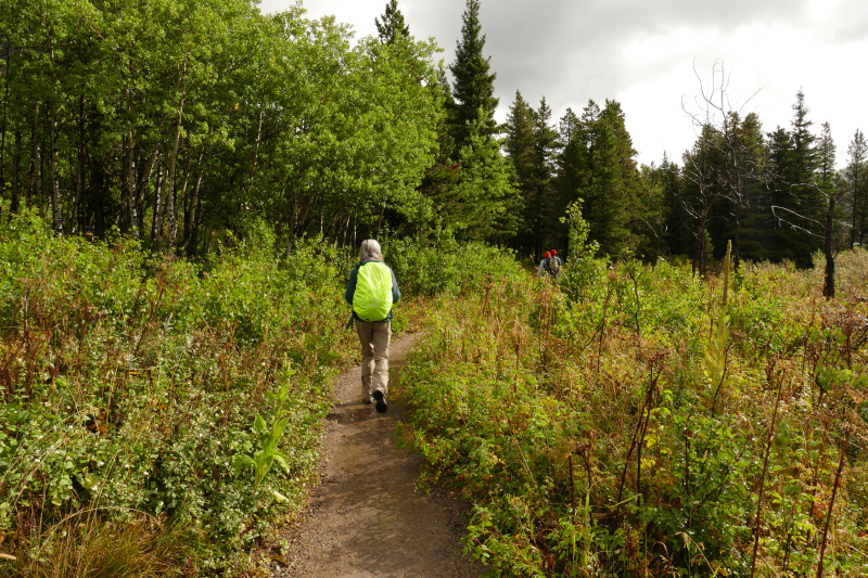 Swiftcurrent Lake Loop [Glacier National Park]