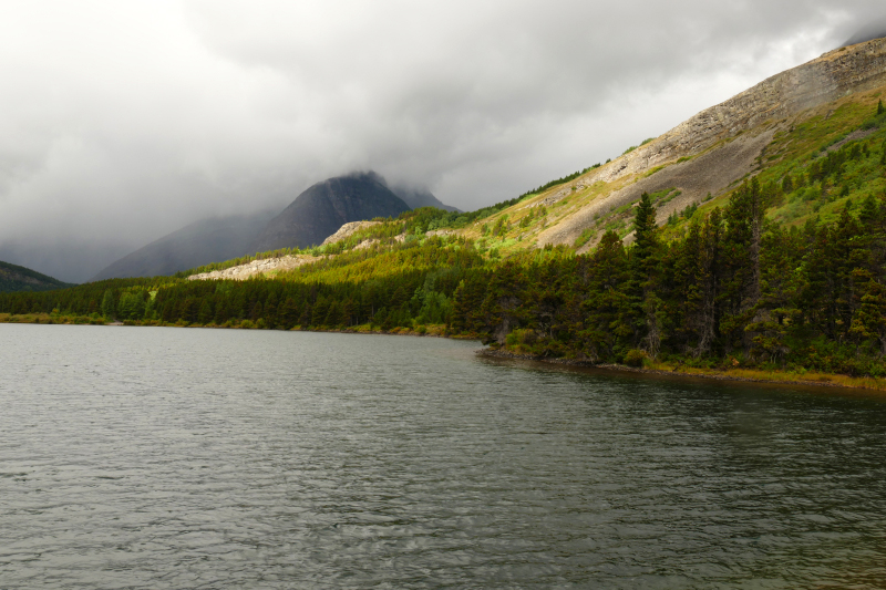 Swiftcurrent Lake Loop [Glacier National Park]