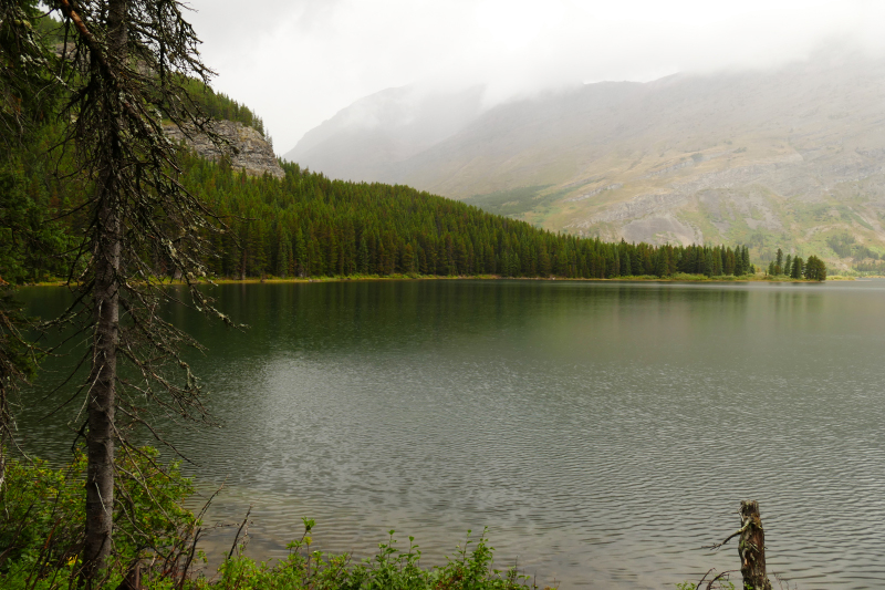 Swiftcurrent Lake Loop [Glacier National Park]