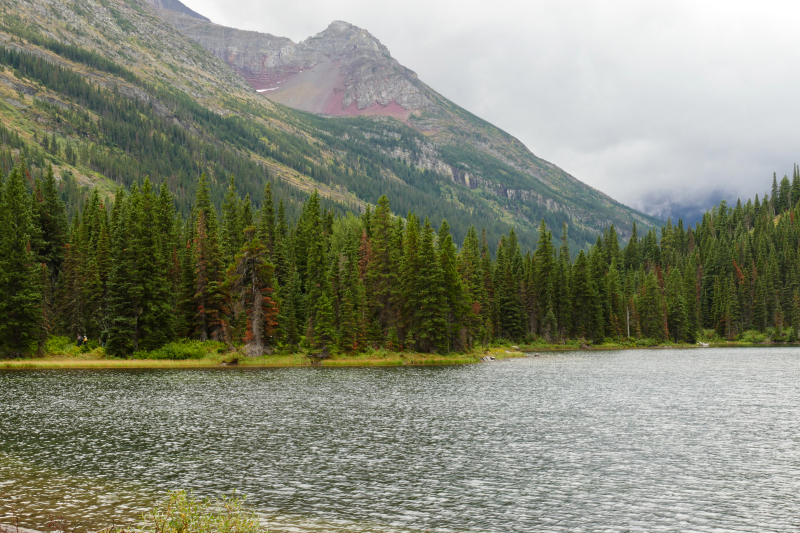 Swiftcurrent Lake Loop [Glacier National Park]