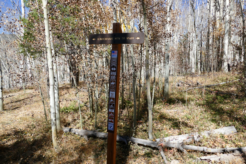 Tenderfoot Mountain Trail [Dillon - Silverthorne]