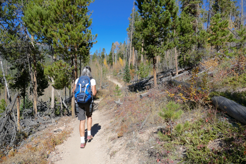 Tenderfoot Mountain Trail [Dillon - Silverthorne]