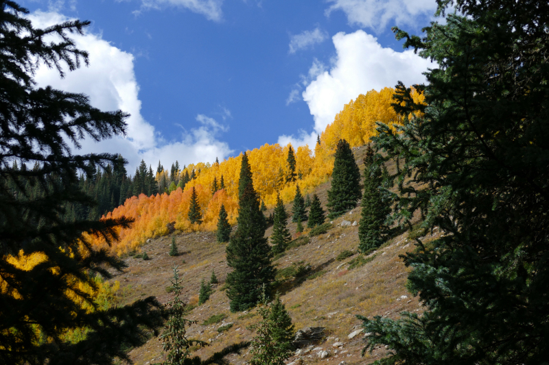 West Lime Creek [San Juan National Forest]