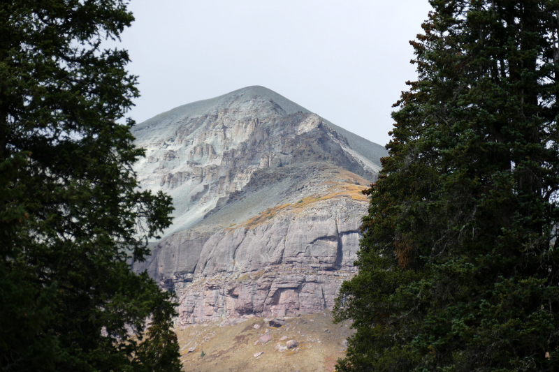 West Lime Creek [San Juan National Forest]