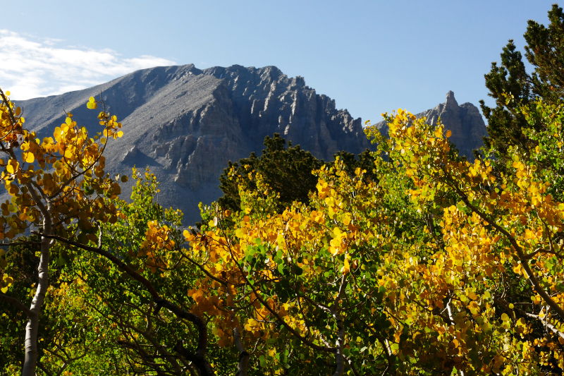 Wheeler Peak [Great Basin National Park]