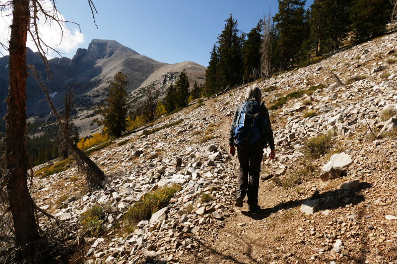 Wheeler Peak [Great Basin National Park]