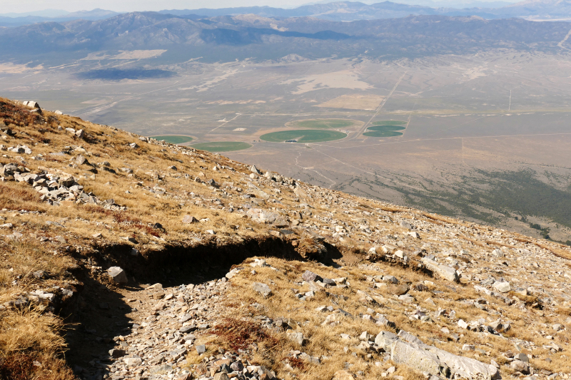 Wheeler Peak [Great Basin National Park]