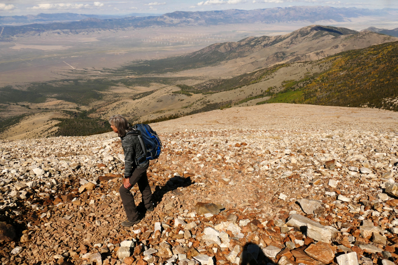 Wheeler Peak [Great Basin National Park]