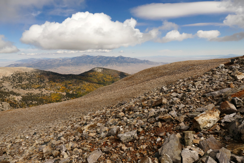 Wheeler Peak [Great Basin National Park]