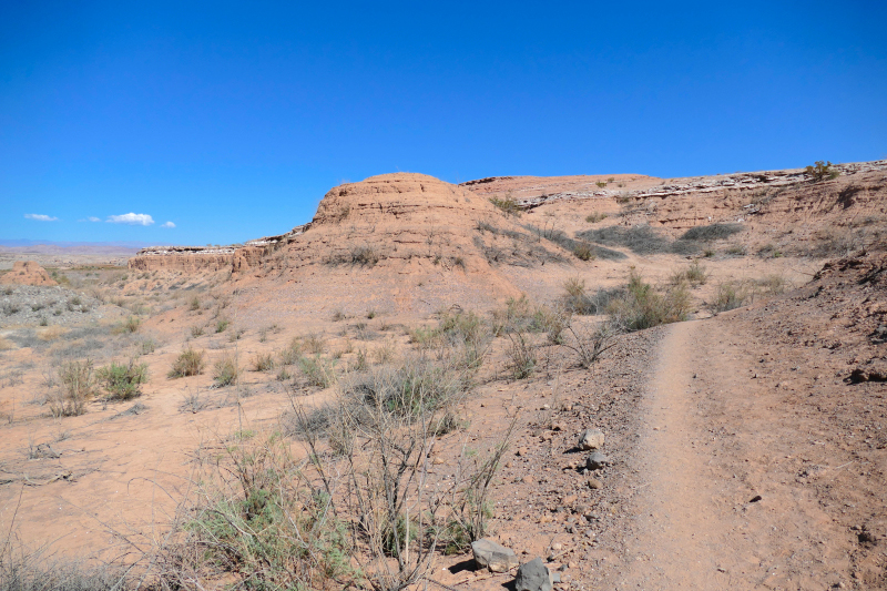 White Owl Canyon - Las Vegas Bay [Lake Mead National Recreation Area]